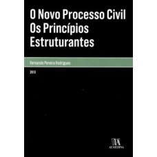 O novo processo civil