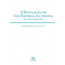 A regulação do gás natural em Angola