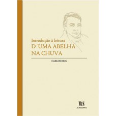 Introdução à leitura d''Uma abelha na chuva