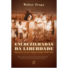 Encruzilhadas da liberdade: Histórias de escravos e libertos na Bahia (1870 - 1910)