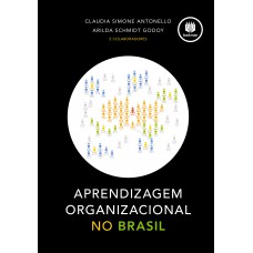 Aprendizagem Organizacional no Brasil