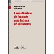 Linhas mestras da execução para entrega de coisa certa