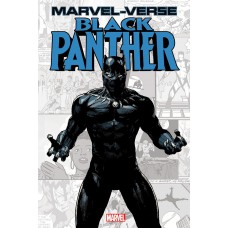 Pantera Negra (Marvel-Verso)