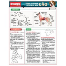 Como cuidar bem do seu cão