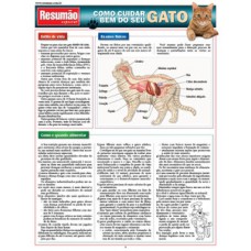 Como cuidar bem do seu gato