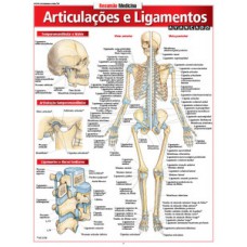 Articulações e ligamentos avançado Articulações e ligamentos avançado