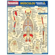 Músculos: origens e inserções