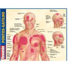 Pontos-gatilhos Pontos-gatilhos