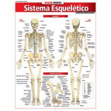 Sistema esquelético avançado Sistema esquelético avançado