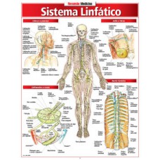 Sistema linfático Sistema linfático