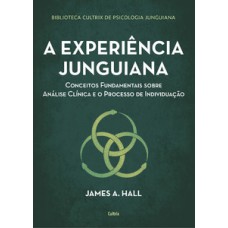 A experiência junguiana