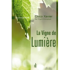 La vigne de lumière (Vinha de luz - Francês)