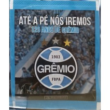 Envelope Figurinhas do Grêmio