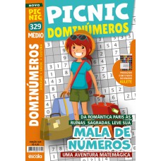 Picnic Diminúmeros - Mala de números - Médio