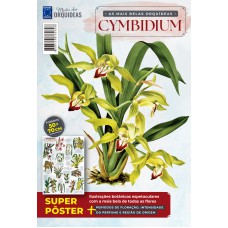 Pôster Mestre das Orquídeas - As Mais Belas Orquídeas Cymbidium