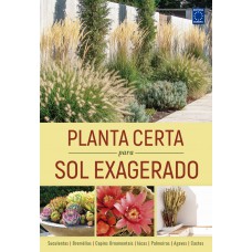 Planta Certa para Sol Exagerado