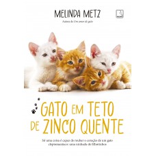 Gato em teto de zinco quente