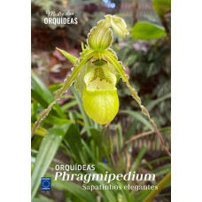 Phragmepedium: Sapatinhos elegantes - Mestre das Orquídeas - Volume 26