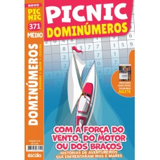 Picnic Dominúmeros - Médio