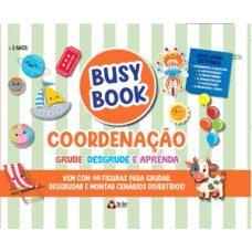 Busy Book Coordenação Grude, Desgrude e Aprenda