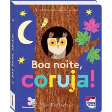 Um livrinho com abas: Boa noite, coruja!