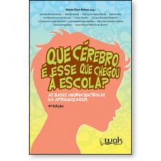 Que cérebro é esse que chegou à escola? As bases neurocientíficas da aprendizagem