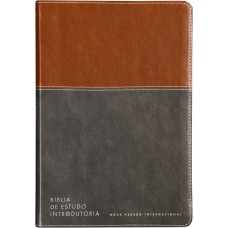 Bíblia de estudo introdutória, NVI, Couro-soft marrom e cinza chumbo, Leitura Perfeita