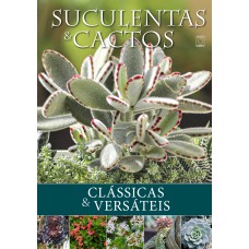 Suculentas e Cactos: Clássicas e Versáteis