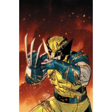 Wolverine (2025) 06