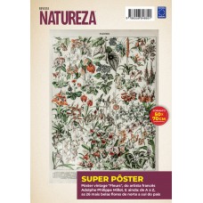 Adolphe Philippe Millot: Fleurs 3 - Superpôster Natureza