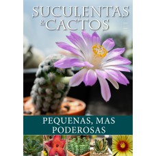 Suculentas e Cactos: Pequenas, mas Poderosas