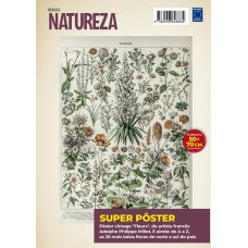 Adolphe Philippe Millot: Fleurs 2 - Superpôster Natureza