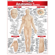 Anatomia de superfície