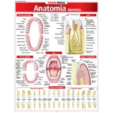 Anatomia dentária