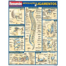 Articulações e ligamentos