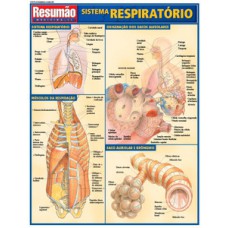 Sistema respiratório