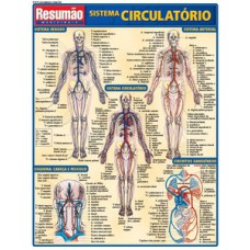 Sistema circulatório