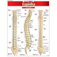 Espinha Espinha
