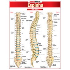 Espinha