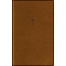 Bíblia Com Mapas Mentais NAA - Letra Grande - Marrom