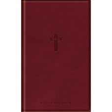 Bíblia Slim - Com Mapas Mentais - NAA - Vinho