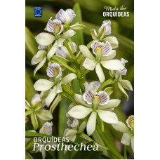 Orquídeas Prosthechea - Mestre das Orquídeas - Volume 30