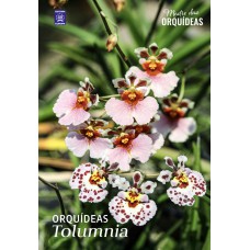 Orquídeas Tolumnia - Mestre das Orquídeas - Volume 31