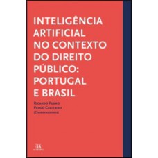 Inteligência artificial no contexto do direito público