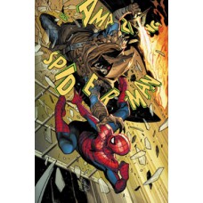 O espetacular homem-aranha (2025) 09
