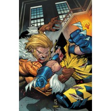 Wolverine (2025) 11