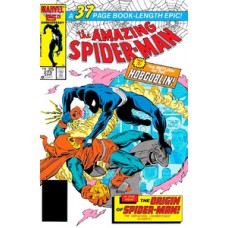 A saga do homem-aranha 14 (38)