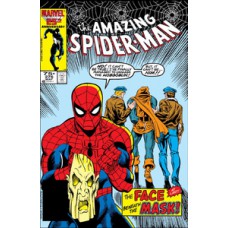 A saga do Homem-aranha 15 (39)