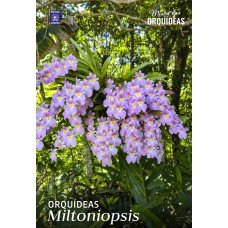 Orquídeas Miltoniopsis - Mestre das Orquídeas - Volume 34