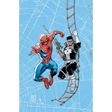 Coleção Homem-Aranha: Teia de Heróis Vol. 4 - Homem-Aranha e Justiceiro